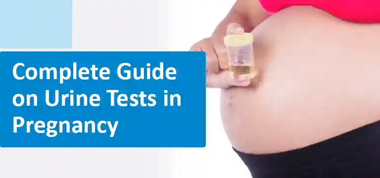 Complete Guide on Urine Tests in Pregnancy